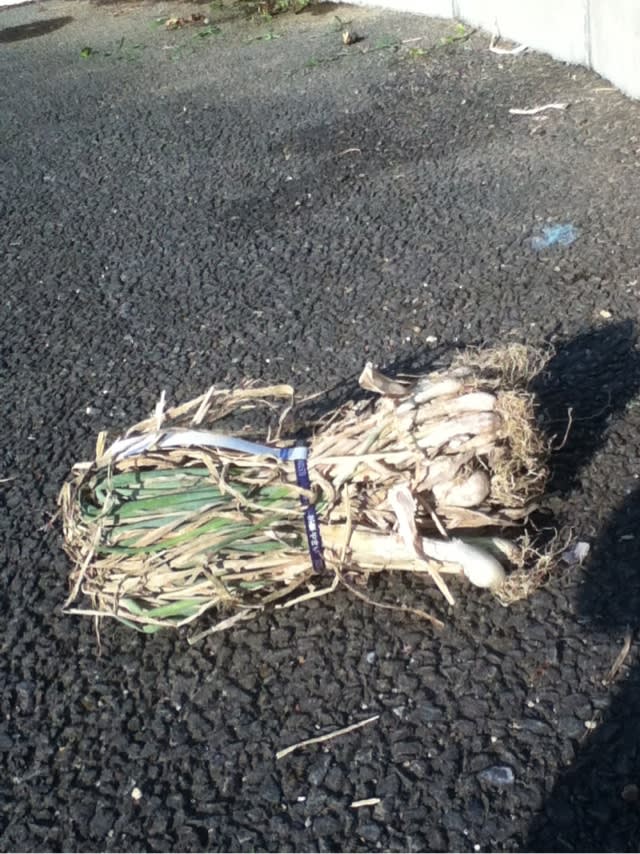 干しネギほか購入