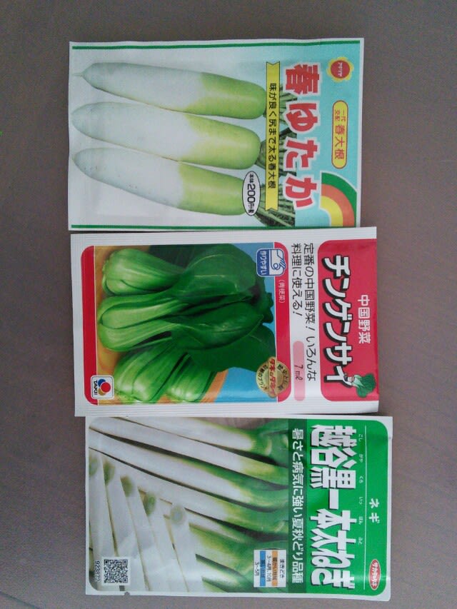 種購入（ダイコン、チンゲンサイ、ネギ）