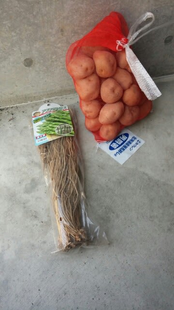 ジャガイモ他購入